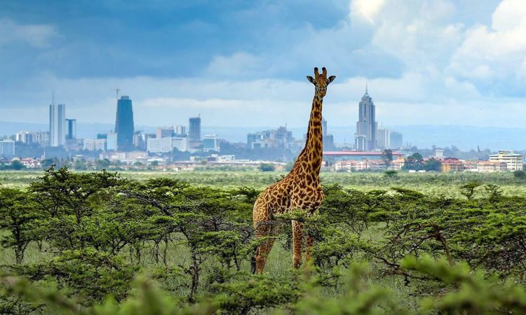 Day trip Nairobi